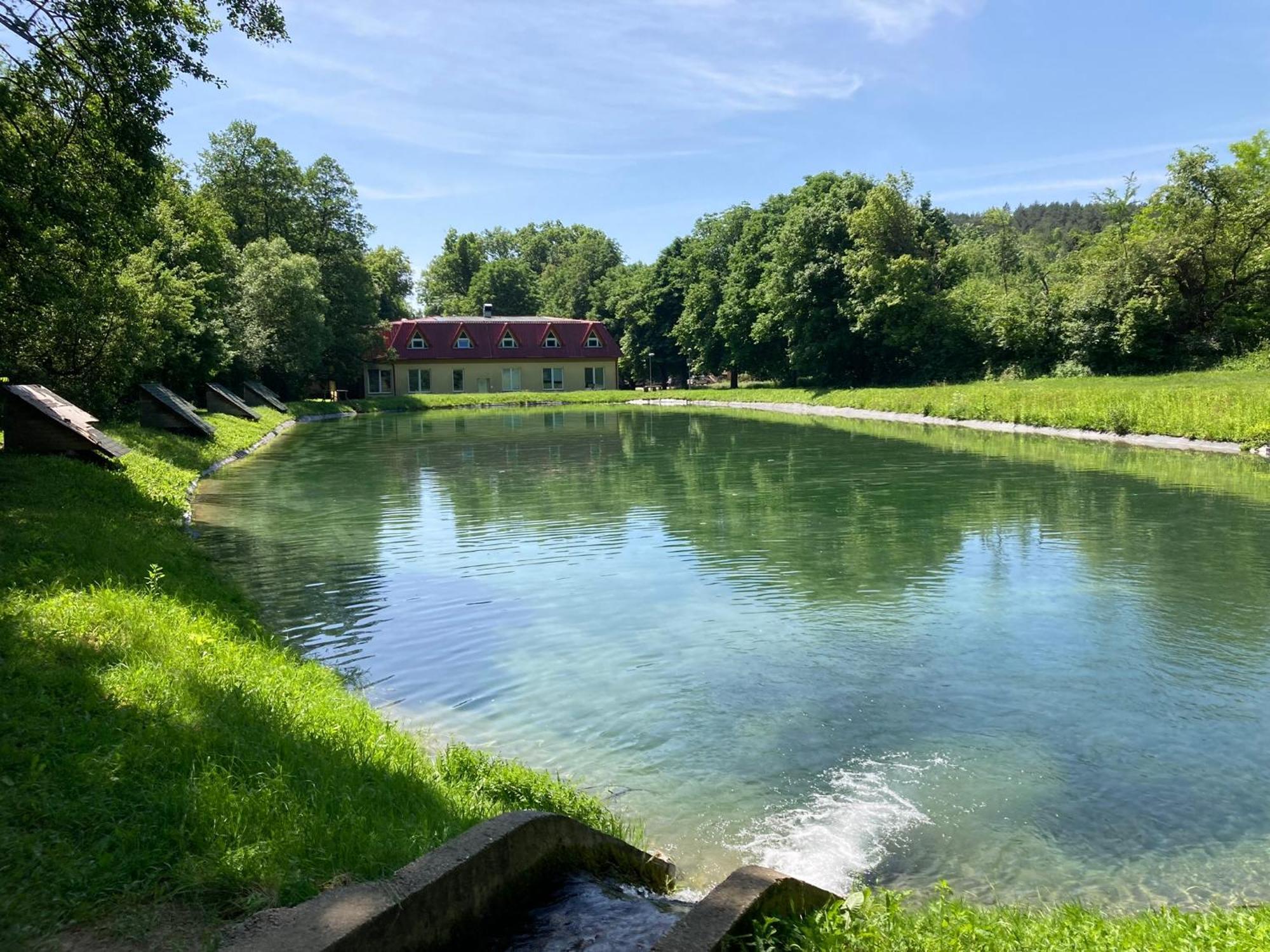 Campsite Zlaty Pav *